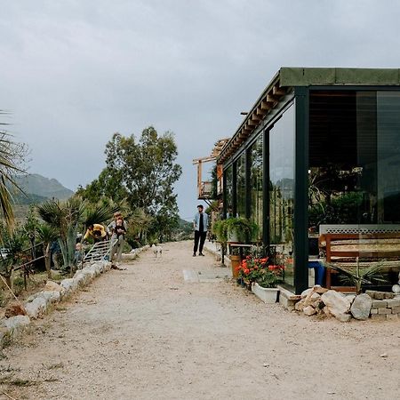 Eco Farm Boutique Hotel Turgutreis Exterior photo