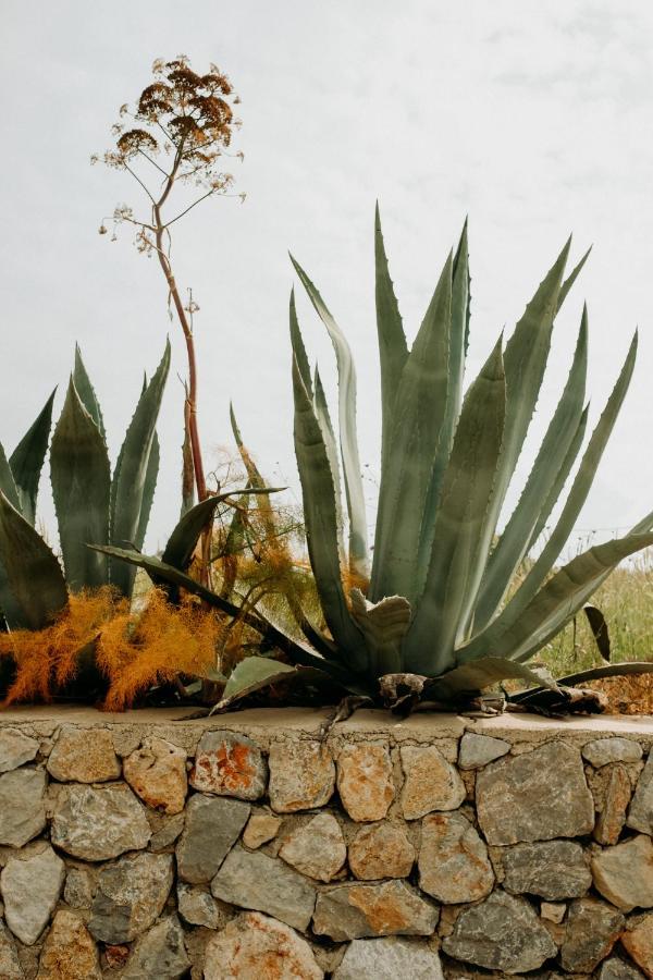 Eco Farm Boutique Hotel Turgutreis Exterior photo