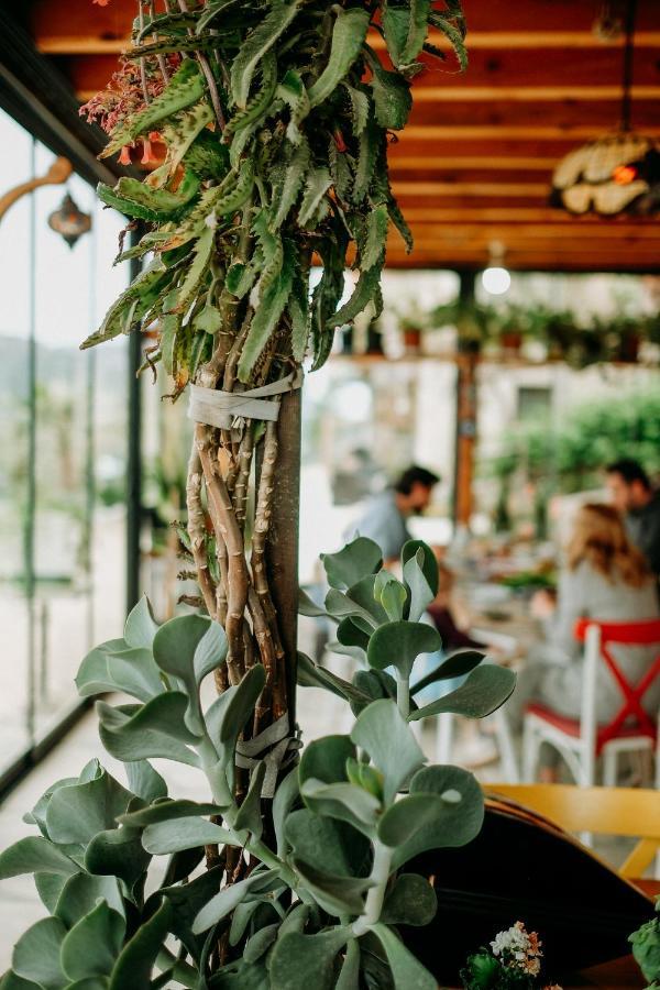 Eco Farm Boutique Hotel Turgutreis Exterior photo