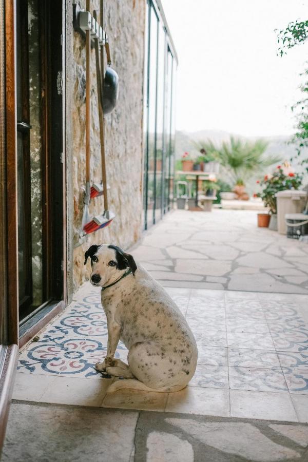 Eco Farm Boutique Hotel Turgutreis Exterior photo